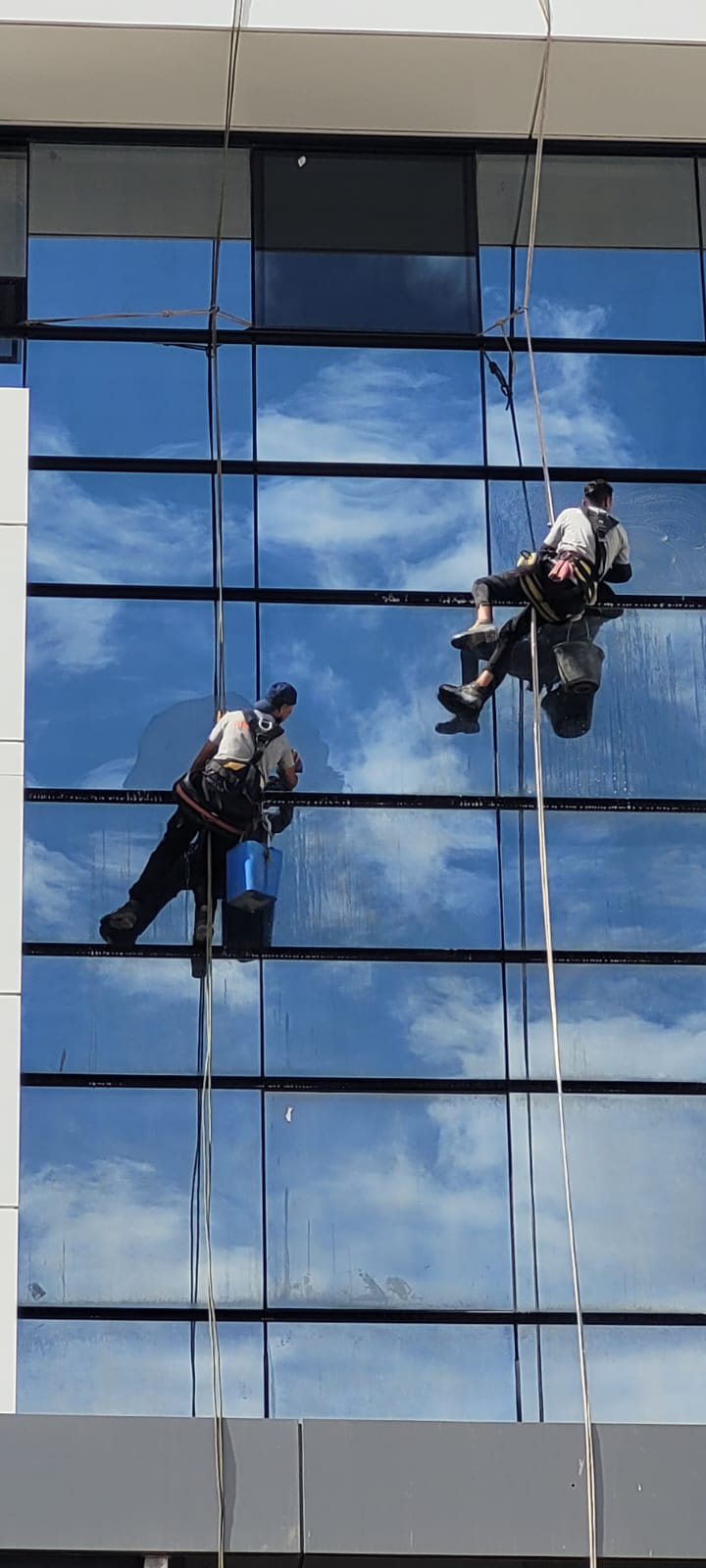 NETTOYAGE DE FAÇADES VITRÉES EN HAUTEUR